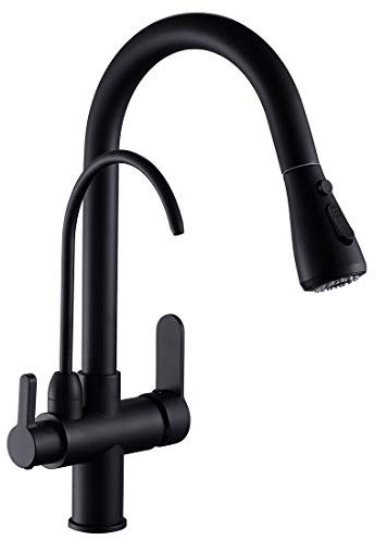 WANFAN Kitchen Faucet with Water Filter Spout, Black