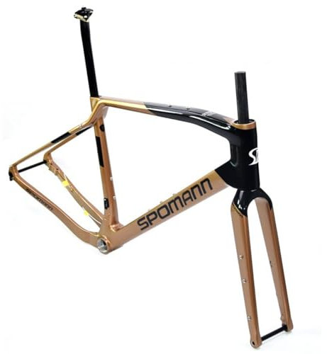 BSFHQS 700C Gravel Rennrad-Rahmensatz Scheibenbremse 40/43/46/49/53cm Carbon Straßenfahrrad Hartschwanz Rahmen 12x100mm/12x142mm Steckachsenrahmen Interne Verlegung(46cm)