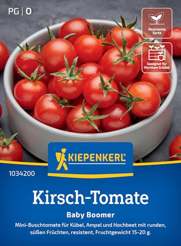 Kiepenkerl Kirsch-Tomatensamen Baby Boomer 1034200, Gemüsesaat | Runde süße Früchte, kompakt, für Beet, Hochbeet & Freiland