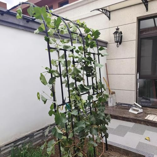 Treillis pour pergola en métal | Arche et tonnelle de jardin d'extérieur, support pour plantes robuste, quincaillerie en acier galvanisé, arche et treillis renforcés et étanches | Demi-face noire(W150