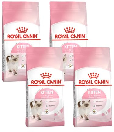 Kitten | Trockenfutter für Katzenwelpen | 4 x 400 g | Zweite Wachstumsphase | Royal Canin | Alleinfuttermittel | Bis 12 Monate | Mit DHA sowie Vitamin E und C | 4er Pack