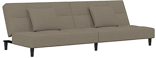vidaXL Schlafsofa 2-Sitzer, Schlafcouch mit 2 Kissen, Gästebett mit Holzrahmen, Sofabett Tagesbett Couch Sofa Ausziehbar, Hellgrau Samt