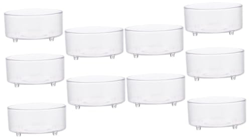 Homoyoyo Bol d'alimentation pour Reptiles Multifonction en Acrylique 10 Pièces Taille Moyenne pour Terrarium Usage Scorpion Lézard Serpent Petits Reptiles
