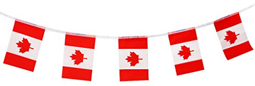 D DOLITY Drapeaux Bannière Nationaux pour Clubs de Sport Evénements de Fête Décoration - Canada (20pcs Drapeau), 5,5 Mètres