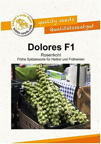 Kohlsamen Dolores F1 Rosenkohl Portion