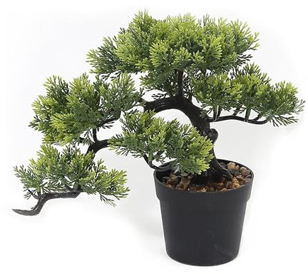 Bonsaï artificiel de cyprès - Plante en pot réaliste pour l'intérieur et l'extérieur - Arbre de simulation décoratif de 28 cm de large - Plantes artificielles à feuilles persistantes comme de vraies