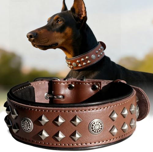 EliteGuard Hundehalsband Leder, 5,6 cm Breit, Braun, L | Robustes Echtes Lederhalsband, Mit Nieten Und Edelstahlschnalle, Für Den Täglichen Gebrauch Bei Großen Hunden, 57,5-67,5 cm