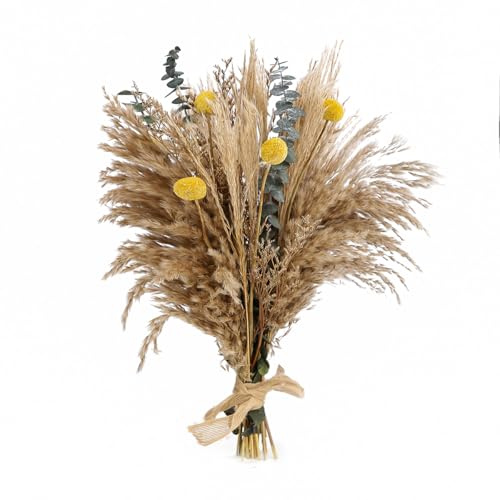 Dried Flowers Boho Bouquet,Pampas Grass for Western Decor,Rustic Farmhouse Flower for Bohemian Home,Bedroom,Living Room,Wedding Table Centerpieces (Bouquet_B, 17 inches)