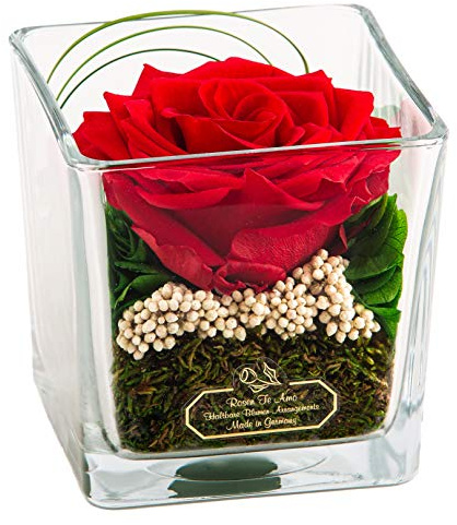 Rosen-Te-Amo Ewige Rose im Glas mit Rosenduft, handgefertigt, Premium Haltbare Rose in Geschenkbox, Konservierte Blume zum Weihnachten, Valentinstag, Muttertag, Deko Geschenk für Frauen