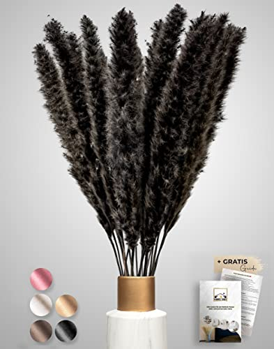 Farrell Brec Pampasgras getrocknet 30 Stück - extra langlebige Trockenblumen - Deko Wohnzimmer, Schlafzimmer, Badezimmer, Vase Trockenblumenstrauß, Boho Deko (Schwarz)