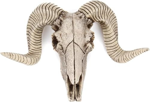 SHGDAIO Wall Mounted Animal Head, Ram Skull Wall Hanging Decor, Realistic Animal Head Wall Statue, Faux Taxidermy Wall Animal Head For Hallway Exhibition Hall(Style 1)