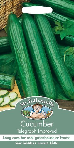 Mr Fothergill's 21461 Vegetable Seeds, Cucumber Telegraph Improved