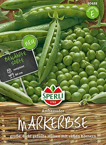 80488 Sperli Premium Erbsen Samen Ambassador | Große dicht gefüllte Hülsen | Ertragreich | Erbsen Saatgut