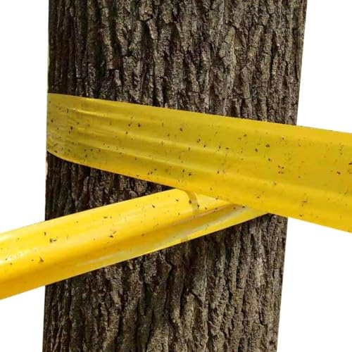 Leimringe Für Obstbäume Selbstklebend 25×500cm, Gelbtafeln Für Raupenleim, Für Obstbäume AmeisenLeimring – Obstbäumes AmeisenLeimring BAU-m Stammschutz