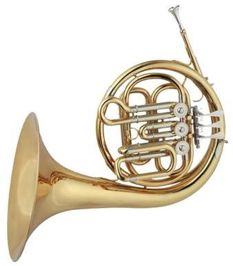 Waldhorn Anfängerinstrument Waldhorn B Blechblasinstrument Geeignet Für Anfänger Und Erwachsene