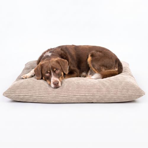 4L Textil ZOE Hundkudde, fluffigt snöre, hundsäng, medelstora hundar med överdrag och dragkedja, gosig hundkudde, tvättbar (Beige(Ränder), 120x100 cm)