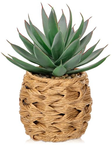 Briful Succulents Plants Artificial for Home Decor, Realistic Potted Fake Agave Plant in Wicker Basket, Cute Aloe Maguey Faux Plant, Shelf Tables Decor, Modern Farmhouse Home Decorations