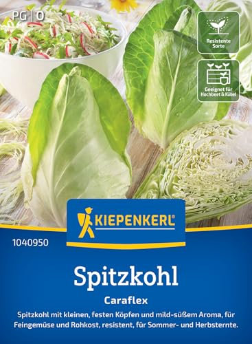 Kiepenkerl Spitzkohlsamen Caraflex 1040950 - kleine, feste Köpfe - mild- süßes Aroma - resistente Sorte - Samen Gemüse, Saatgut, Gemüsepflanzen