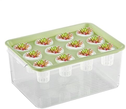 Betta Aquarium, Aquaponic Pflanzer und Aquarium,Desktop -Pflanzerdekorationen - Home Betta Fischtank Hydroponic Plant Propagation Station für Frauen und Mutter