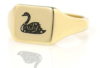 Gravierter Schwan Siegelring - Tier Stern Karte Ring - Individueller Ring - Niedlicher Ring - Geschenk für Sie