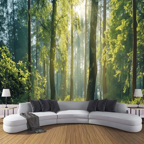 Grüner Wald Fototapete - Sonnige Landschaft - Größe 250X180Cm (Breite X Höhe) Wandtapete Tapete, Wandbild Wandtattoo Dekoration - Tapete, Kinderzimmer, Kindertapete
