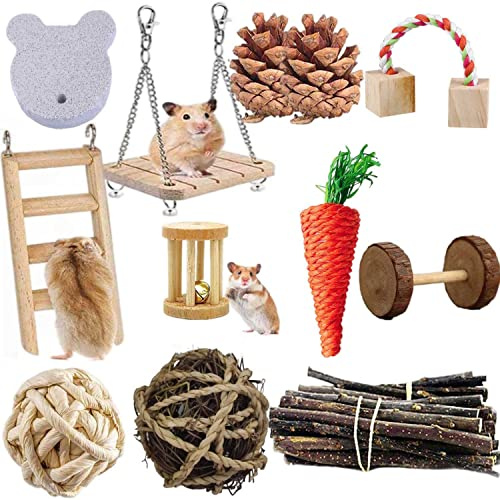 ACLUYSKA Lot de 21 jouets à mâcher pour hamster, cochon d'Inde, accessoires pour soins des dents molaires en bois de pommier naturel, échelle pour hamsters nains, rats, chinchillas, gerbilles (21