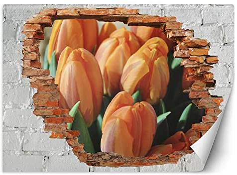 Feeby Fototapete 3D Abstraktion Natur Loch in der Wand 250x175 cm Orange Vlies Wandtapete Tapeten Wohnzimmer Schlafzimmer Büro Flur Moderne Design Wandbilder Wand Dekoration Blume Tulpen Pflanze