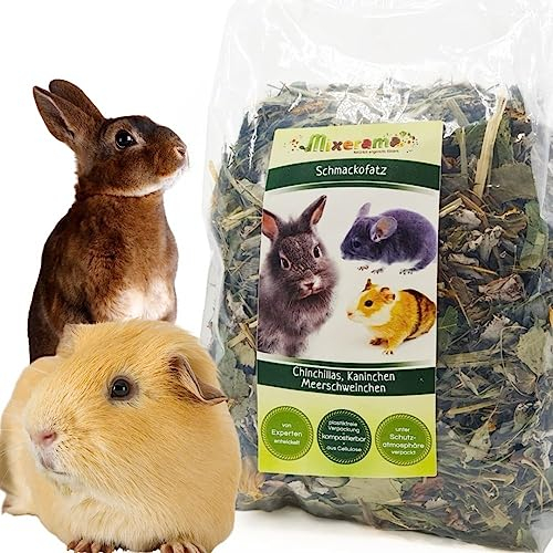 Meerschweinchen Schmackofatz