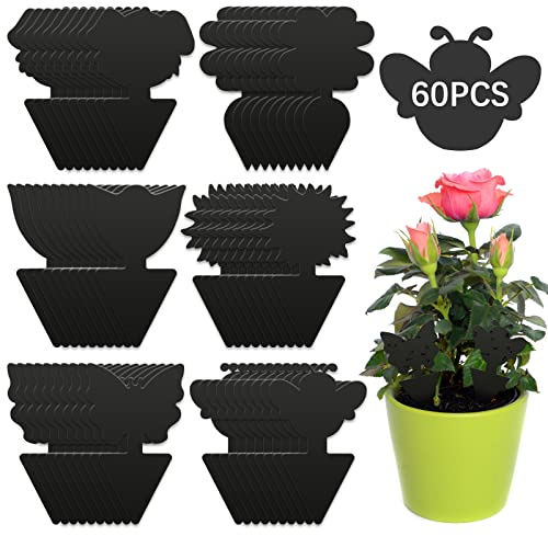 BBLIKE Fruit Fly Traps - 60 Pcs Fly Catcher Bug for Home Use, Fungus Gnat Sticky Killer for Protect Indoor Plants, Fruit Fly Papers Control for Flies Multiple Insects Non-Toxic, Waterproof (Black)