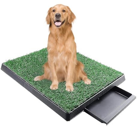 Hundegrasunterlage mit Tablett, Gras-Pad, Kunstrasen für Hunde zum Pinkeln, Trainingsmatte, Hundetoilette mit Gras, für den Innenbereich, für kleine und mittelgroße Hunde