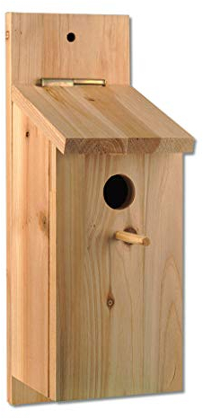 Nistkasten aus Holz zum Bauen und Selbstgestalten, Nistkasten-Bausatz mit kindgerechtem Holzhammer, Leim und Dübeln für Kinder | Wiemann Lehrmittel