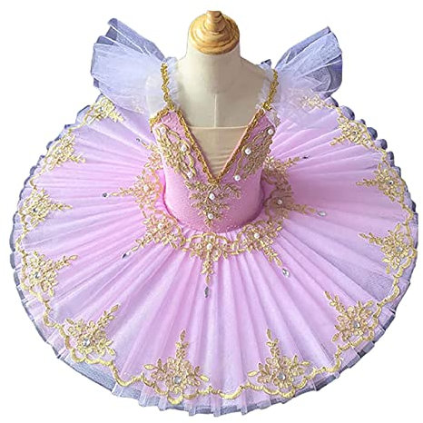 WNRLL Mädchen Ballett Schwan See Tanz Tutu Kleid Stickerei Camisole Rock Leotard Professionelle Ballerina Tanzkleidung 02,120