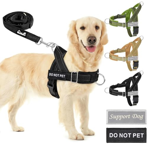 Eyein Hundegeschirr für große Hunde mit Leine, Fleece-gepolstert | Anti-Zug Brustgeschirr mit 2 D-Ringen für Training & Spaziergänge, reflektierend, verstellbar an Hals & Brust (Schwarz, XL)