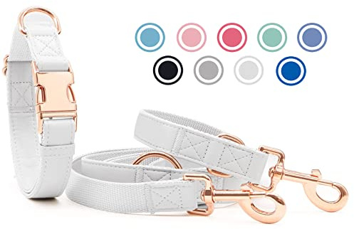 Weich Leder Hundehalsband und Leine (2m) Set - 3-Fach Verstellbar Hundeleine mit Halsband, Stilvollen Rose Gold Metall Schnalle & Nylon Hund Leinen für Welpen Kleine Mittlere Große Hunde Weiß, M