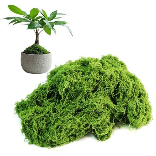 Musgo verde falso para plantas en maceta de interior, musgo artificial de 5.3 onzas para manualidades, musgo español, musgo de turba, musgo esfagno para plantas, decoración de musgo sintético para