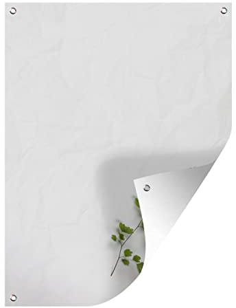 MuchoWow Outdoor-Poster Poster Wanddeko draußen Deko Garten Gartenposter 90x120 cm Blatt eines Farns vor weißem Hintergrund