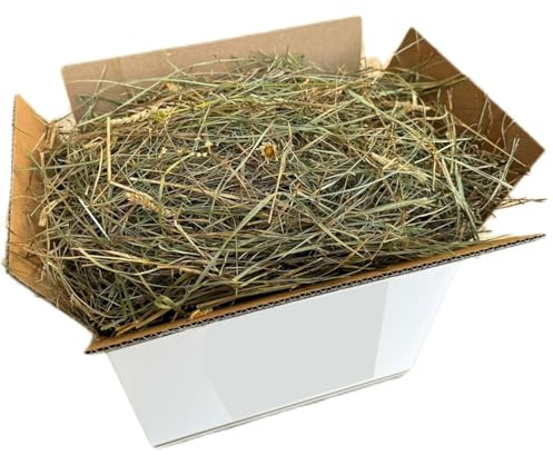 Fieno Naturale per Conigli 10 Kg | Balla di Fieno Italiano di Prato di Montagna Essiccato al Sole | Alimento per Porcellini d’India, Cincillà, Conigli Nani, Cavalli, Polli e Roditori
