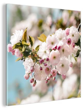 MuchoWow Glasbild Glasfoto Wandbild Bilder Deko 20x20 cm Blumen - Blüte - Frühling