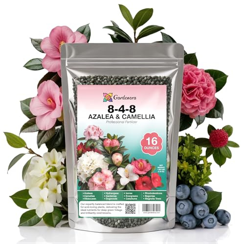 𝐁𝐄𝐒𝐓𝐒𝐄𝐋𝐋𝐄𝐑 Premium 8-4-8 Acidic Fertilizer for Azaleas, Camellias, Hydrangeas, Blueberries, Gardenias, Magnolia Trees, Evergreens and Rhododendrons - Ideal Iron-Rich Plant Food [16 OZ]