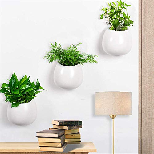 Juego de 3 macetas de pared de cerámica blanca, jarrones colgantes para suculentas y cactus, soportes para flores para interiores y exteriores, macetas decorativas para decoración del hogar y el
