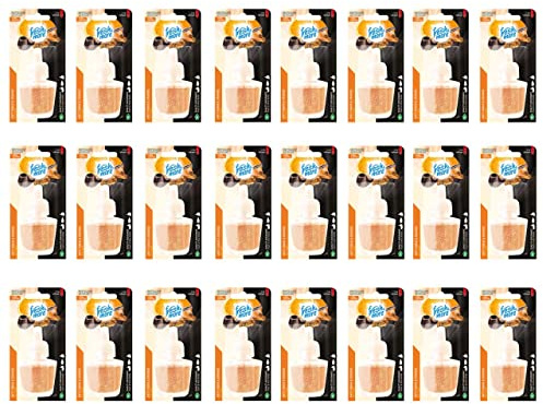 Fresh & More Nachfüllflakons für Duftstecker (24er Pack) Anti-Tabak & Orange, 19ml