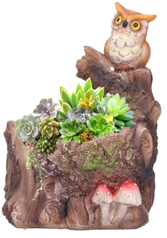 KUKUUU Maceta con Plantas suculentas, Flores, bonsái, decoración del hogar, Regalo