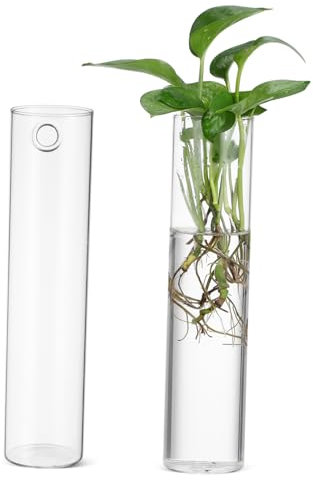 Supvox 2stücke Glas Wandvase Hängend Hydroponisch Wasserkultur Pflanzenhalter Klare Pflanzen-terrarien Moderner Blumentopf Wandbefestigung Für Wohnraum Dekoration