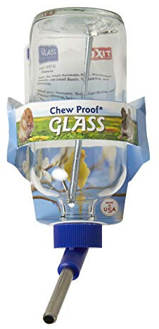 Lixit 30-0370-024 Glass Water Bottle for Birds and Small Animals, 8-Ounce