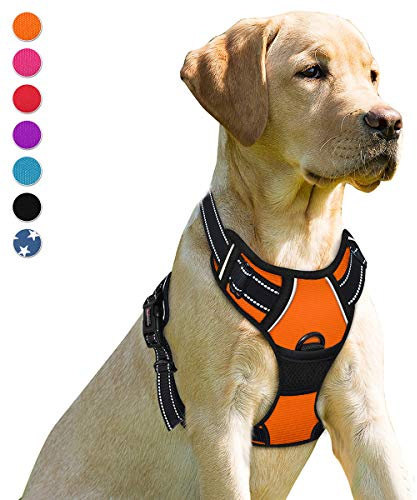 BARKBAY Hundsele icke-dragande husdjurssele justerbar utomhus husdjursväst frontklämma slitstark 3 m, reflekterande Oxford-material väst för hundar, enkel kontroll för små, medelstora stora (orange, M) hundar (orange, M)
