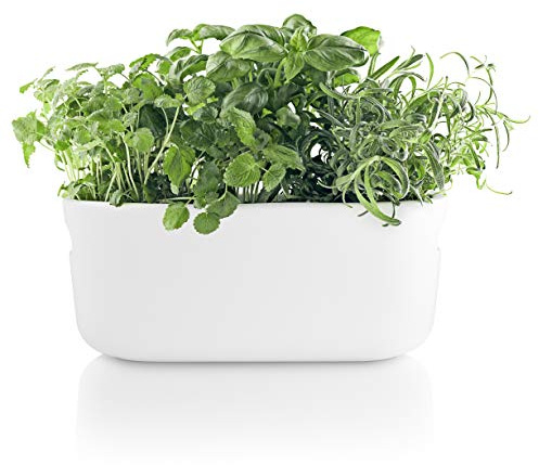 EVA SOLO | Selbstbewässernder Herb-Organiser White | Verhilft Kräutern zu einem Langen Leben | Weiß