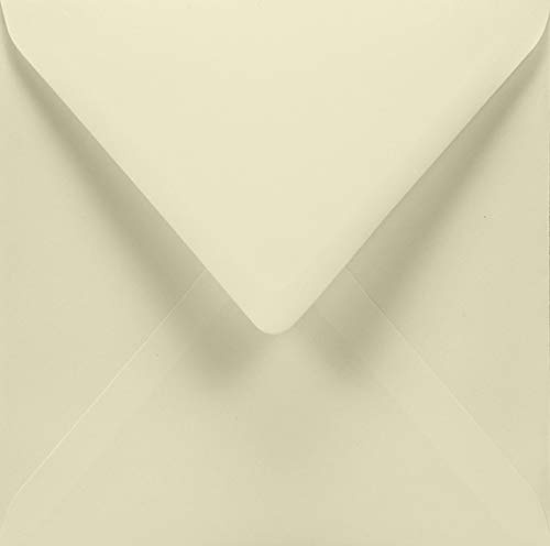 Netuno 50 Umschläge Elfenbein quadratisch 15,5x15,5 cm stilvoll | 120g Aster Smooth Ivory · feine und hochwertige cremefarbene Kuverts für Hochzeit, Einladungen & Grußkarten