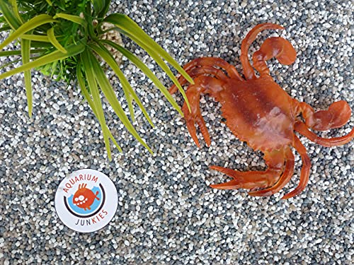 Aquarium-Junkies Arktis 1,8-3,5 (25 kg)