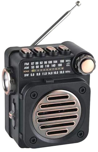 BYCUFF Radio FM PortáTil Mini Receptor de Radio FM Am SW Altavoz Incorporado Reproductor de MúSica InaláMbrico Bluetooth 5.0 con Linterna LED
