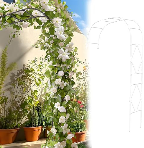 Generisch Rosenbogen Halbbogen Stabil 2.40m Hoch, Gartenbogen Aus Metall, Rankgitter Torbogen Für Kletterpflanzen, Halber Rankhilfe Rankbogen Für Freien Gartendekoration Rasen(Weiß,W120 x H240cm)